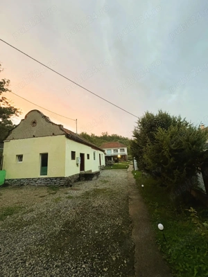 Proprietate deosebită în Răchitova   5000 mp teren, două case renovate