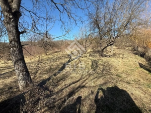 Teren 3341 mp Valea Budacului - imagine 2