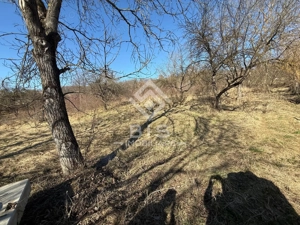 Teren 3341 mp Valea Budacului - imagine 3