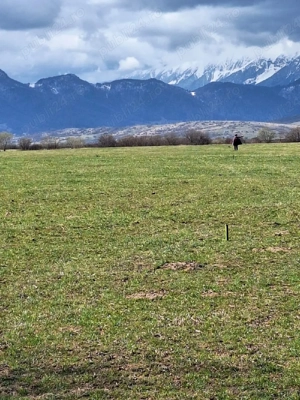  Vand teren intravilan Rasnov - imagine 4