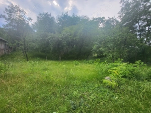 teren Fieni - imagine 3