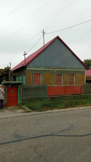 Casa de vanzare in Husasau de Tinca - jud. Bihor - imagine 3