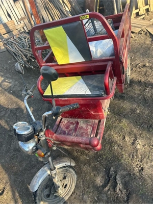 trocarici  - imagine 3