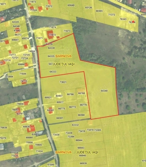 Teren Vișan Bârnova 20.000 mp