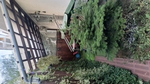 vând apartament cu 3 camere și terasă cu loc de parcare subteran. - imagine 5