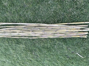  Vând trestie tăiată  