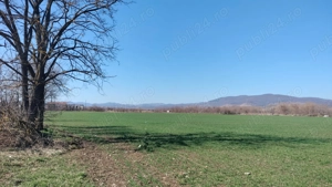 33000 mp teren intravilan în Hațeg jud. Hunedoara - imagine 8