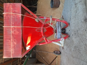 Grau ,productie 2025 panificabil