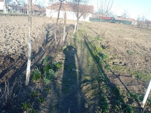 Vînd teren - imagine 2