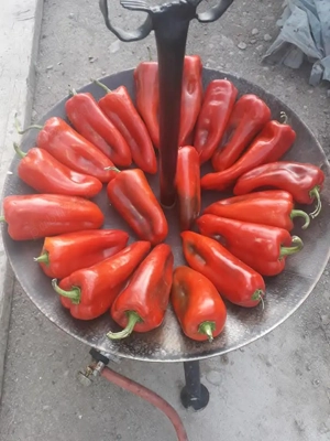 Gratare discuri friptura