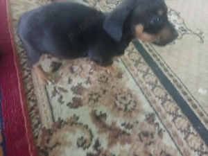 100euro mascul - imagine 2