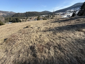 Teren intravilan de vânzare în Arieșeni (Alba) - imagine 4