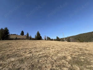 Teren intravilan de vânzare în Arieșeni (Alba) - imagine 2