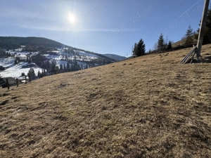 Teren intravilan de vânzare în Arieșeni (Alba) - imagine 10