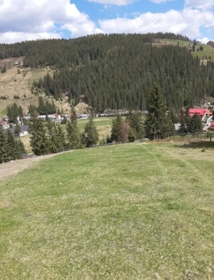 Teren intravilan de vânzare în Arieșeni (Alba) - imagine 8