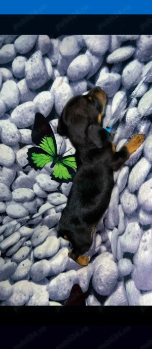 100euro mascul - imagine 4