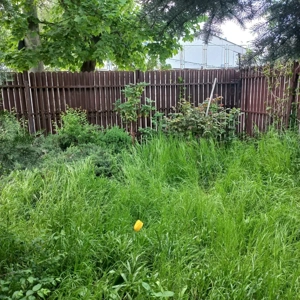 Vand casa si curte spatioase de 400 mp, cu multa verdeata,situate intr-o zona linistita! - imagine 5