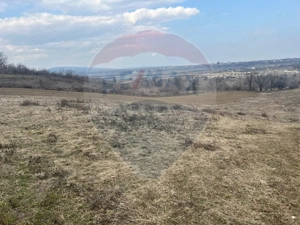 Teren intravilan Dumbraveni / Strada Principala - imagine 4