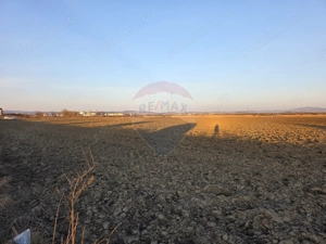 Teren intravilan, 5000 mp, Stupini, str Pomiculturii - imagine 10