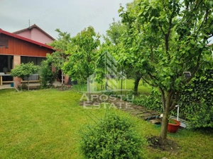 Casa 4 camere, curte proprie, Mosnita Noua, Timis - imagine 13