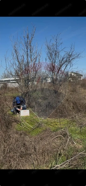Teren 1000 mp de vanzare in Popesti-Leordeni / Strada Echinoctiului - imagine 5