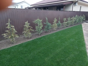 Amenajări spatii verzi!