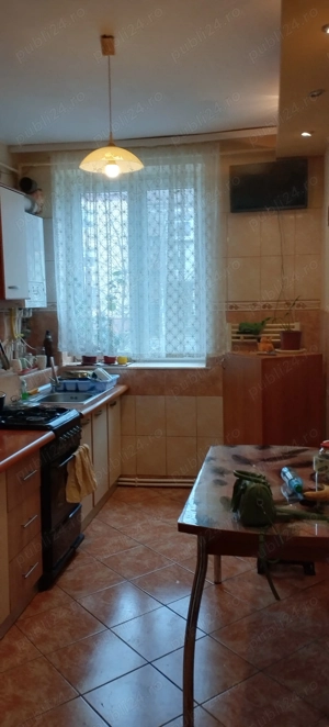 Ap partier zona OM Hunedoara - imagine 5