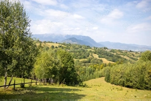 Comision0% Investitie turistica unica - Bran Sohodol 10131mp-Via Transilvanica - imagine 13