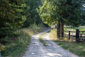 Comision0% Investitie turistica unica - Bran Sohodol 10131mp-Via Transilvanica - imagine 15