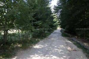 Comision0% Investitie turistica unica - Bran Sohodol 10131mp-Via Transilvanica - imagine 16