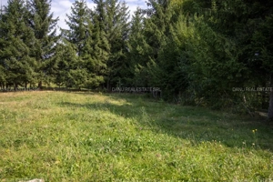 Comision0% Investitie turistica unica - Bran Sohodol 10131mp-Via Transilvanica - imagine 6