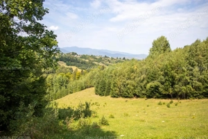 Comision0% Investitie turistica unica - Bran Sohodol 10131mp-Via Transilvanica - imagine 7