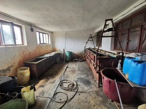 linie zincare electrolitica (galvanizare)