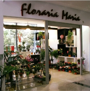 vand afacere la cheie iasi, florarie