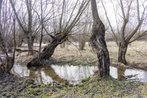 Comision0%Bran Sohodol intravilan 5783,acces rau Sohodol,front 70m - imagine 9