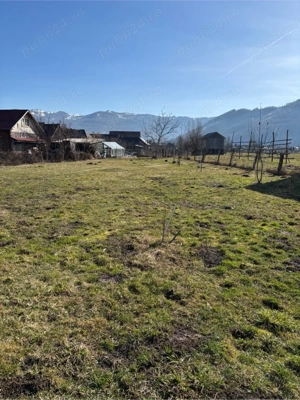 Casa in Leordina cu trei camere si 15ari de teren aproape de centru - imagine 10