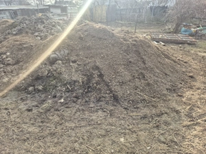 Vand bălegar oaie-capră