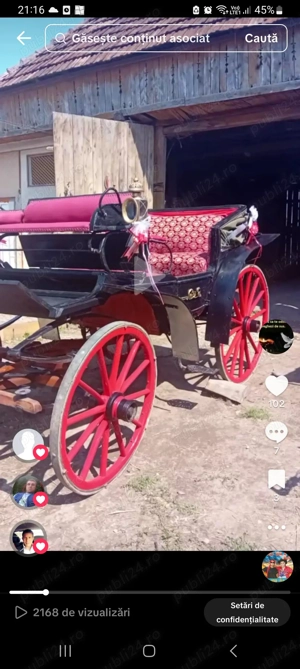 Se vinde trasura - imagine 3