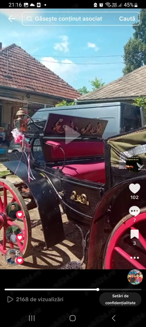 Se vinde trasura - imagine 2