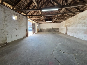 Dudestii Noi, Hala, Disponibila imediat - imagine 9