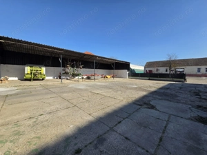 Dudestii Noi, Hala, Disponibila imediat - imagine 13