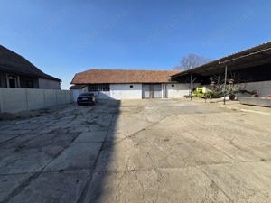 Dudestii Noi, Hala, Disponibila imediat - imagine 8