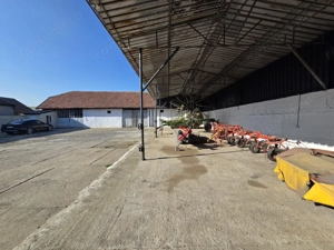 Dudestii Noi, Hala, Disponibila imediat - imagine 15