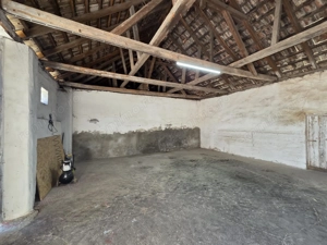 Dudestii Noi, Hala, Disponibila imediat - imagine 12