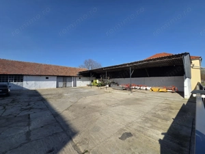 Dudestii Noi, Hala, Disponibila imediat - imagine 16