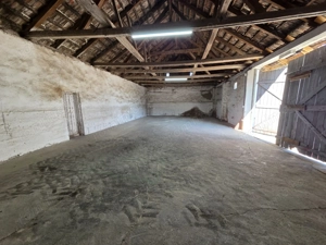 Dudestii Noi, Hala, Disponibila imediat - imagine 14