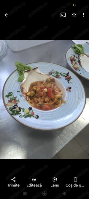 Chef caut locatie  tara sau străinătate 