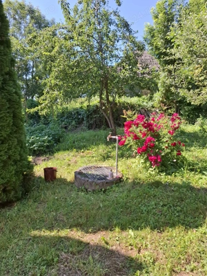 Valea Moldovei, casa P+1+pod, anexa, gradina 500 mp - imagine 8