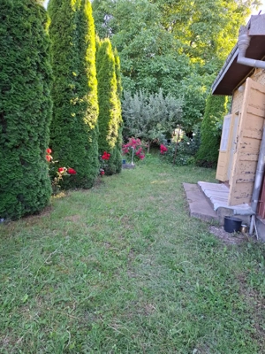 Valea Moldovei, casa P+1+pod, anexa, gradina 500 mp - imagine 9