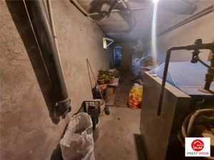 Casa de vanzare 4 camere  (+4 semifinisate ),12 arii teren, Unirii, Mures - imagine 19